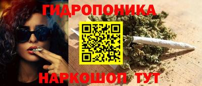 гашик Аргун