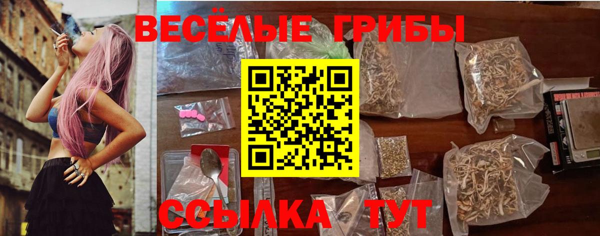 цена наркотик  Вход с VPN  Бугульма  Галлюциногенные грибы Cubensis 